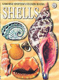 Shells Usborne Spotters Sticker Book