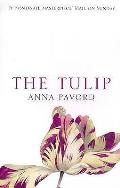 Tulip UK The Story Of A Flower That Has Made Men Mad