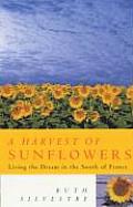 Harvest Of Sunflowers