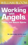 Working with Angels Fairies & Nature Spirits