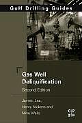 Gas Well Deliquification