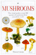 Mushrooms The Visual Guide To Over 500 S