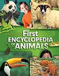 Kingfisher First Encyclopedia of Animals.