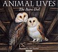 Animal Lives The Barn Owl