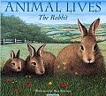 Animal Lives The Rabbit
