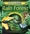 Rainforest Kingfisher Voyages