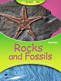 Rocks & Fossils