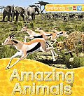 Explorers Amazing Animals