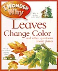I Wonder Why Leaves Change Color & Other Questions About Plants