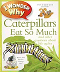 I Wonder Why Caterpillars Eat So Much