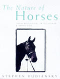 Nature Of Horses Their Evolution