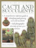 Illustrated Encyclopedia Of Cacti & Succulents