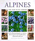 Alpines New Plant Library