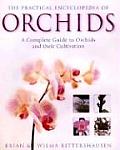Practical Encyclopedia of Orchids The Complete Guide to Orchids & Their Cultivation