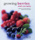 Growing Berries & Currants