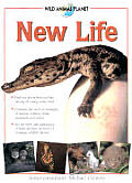New Life Wild Animal Planet