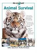 Wild Animals Planet Animal Survival