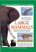 Large Mammals Illustrated Wildlife Encyclopedia