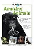 Amazing Animals Wild Animal Planet