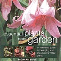 Essential Plants For The Garden