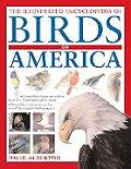 Illustrated Encyclopedia Of Birds Of The America