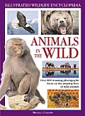 Illustrated Wildlife Encyclopedia Animals In The