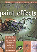 Paint Effects Projects Practical Ideas