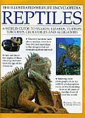 Illustrated Wildlife Encyclopedia: Reptiles