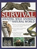 Survival Amazing Wild Animals In The Nat