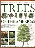 Illustrated Encyclopedia Of Trees Of The America