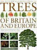 Trees Of Britain & Europe