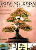 Growing Bonsai A Practical Encyclopedia The Complete Guide to a Classic Art with Essential Techniques Step By Step Projects & Over 800 Photograph