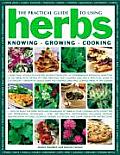 Practical Guide to Using Herbs Knowing Growing Cooking