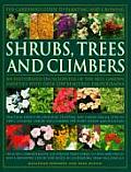 Gardeners Guide to Planting & Growing Shrubs Trees & Climbers An Illustrated Encyclopedia of the Best Garden Varieties with Over 1250 Beaut