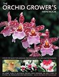 Orchid Growers Handbook An Expert Guide to Successful Orchids from Choosing the Right Plant to Potting On Propagation & Maintenance