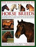 Illustrated Guide to Horse Breeds An Expert Guide to Over 80 Top Horse & Pony Breeds from Around the World Shown in 350 Photographs