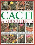 Complete Illustrated Guide to Growing Cacti & Succulents The Definitive Practical Reference on Identification Care & Cultivation with a Direc