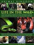 Animal Kingdom: Life in the Wild: How Wild Animals Survive in Their Different Habitats, from Deserts and Jungles to Oceans and the Ski