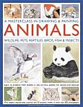 A Masterclass in Drawing & Painting Animals: Wildlife, Pets, Reptiles, Birds, Fish & Insects