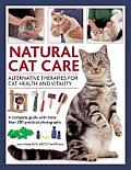 Natural Cat Care: Alternative Therapies for Cat Health and Vitality