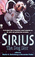 Sirius The Dog Star