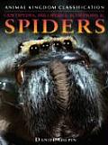 Centipedes Millipedes Scorpions & Spiders