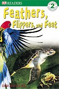 Feathers Flippers & Feet Dk Reader 2 Lev