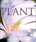DK Plant