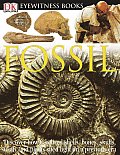 Fossil Eyewitness