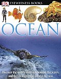 Ocean Eyewitness 2004