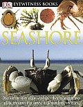 Seashore Eyewitness 2004