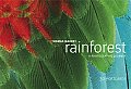 Rainforest Postcards