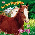 See How They Grow Pony with Stickers