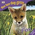 See How They Grow Fox with Stickers